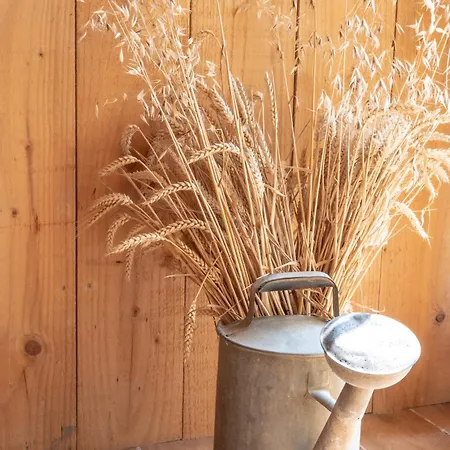 La Contrebasse Hébergement de vacances *