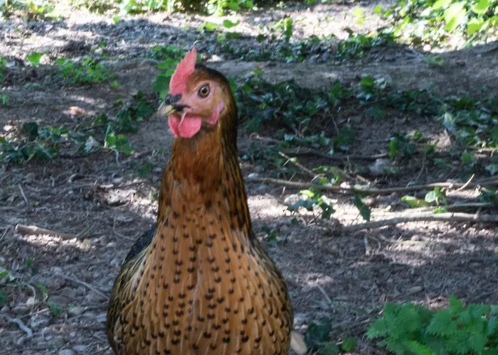 Casa vacanze La Contrebasse *